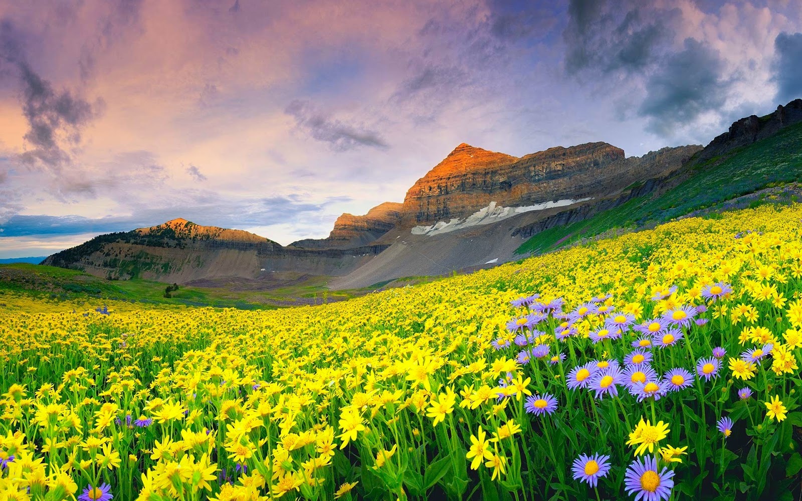 Valley of flowers Trek tour Package from Mumbai